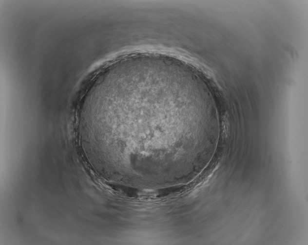 X0000112761494200909031537