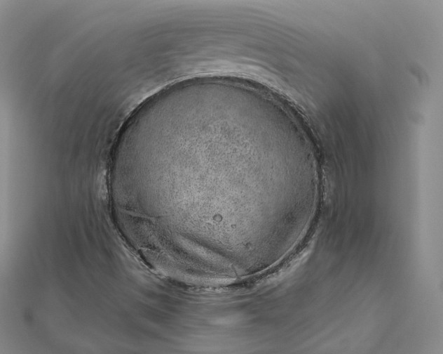 X0000112761497200909031537