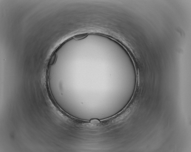 X0000112761500200909031537