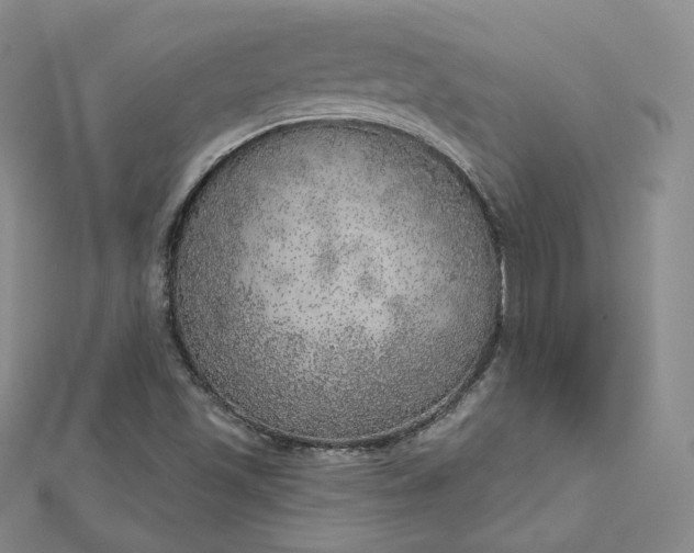 X0000112761501200909031537