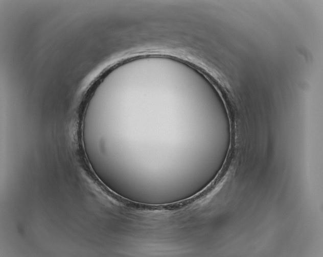 X0000112761502200909031537