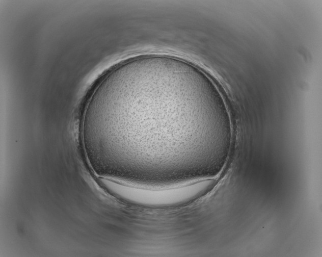 X0000112761503200909031537