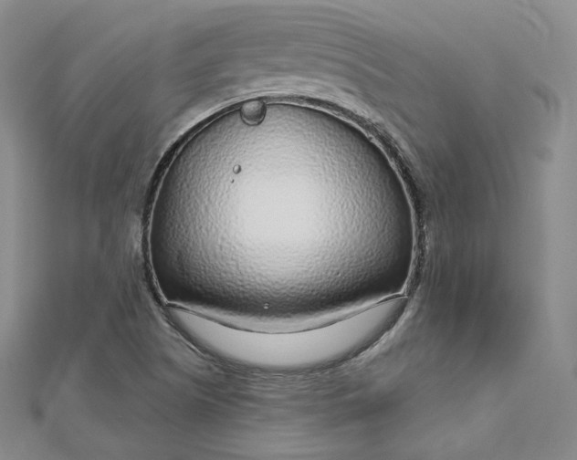 X0000112761505200909031537