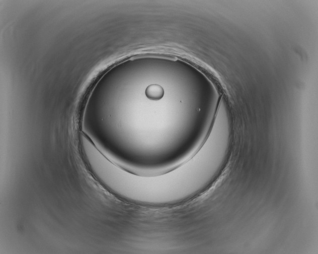 X0000112761506200909031537