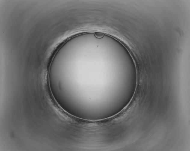 X0000112761507200909031537