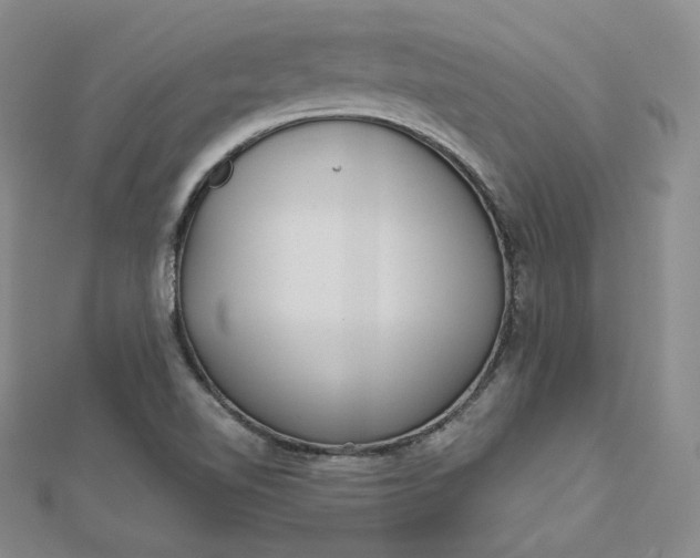 X0000112761510200909031537