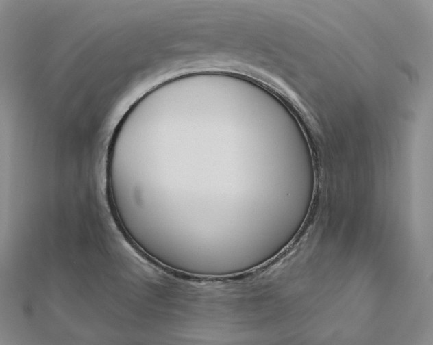 X0000112761512200909031537