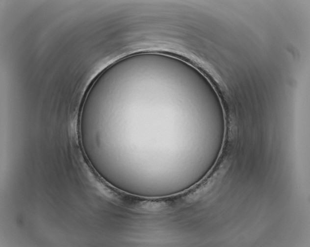 X0000112761513200909031537