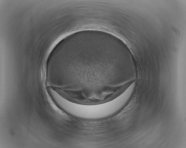 X0000112761515200909031537