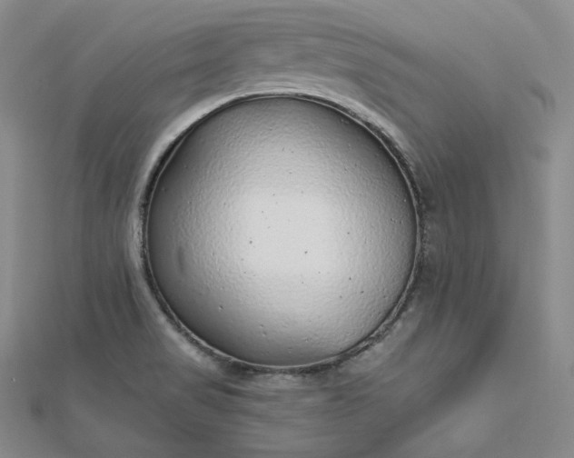 X0000112761517200909031537