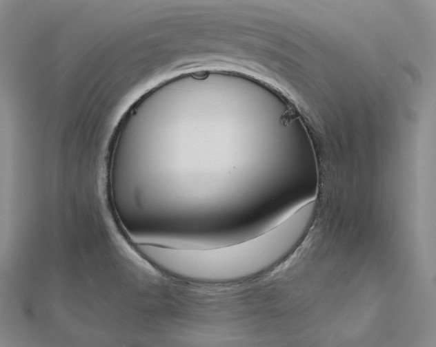 X0000112761518200909031537