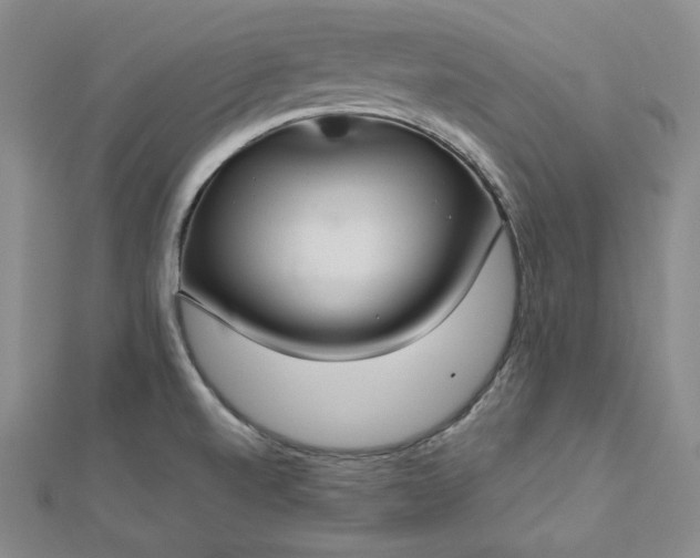 X0000112761520200909031537