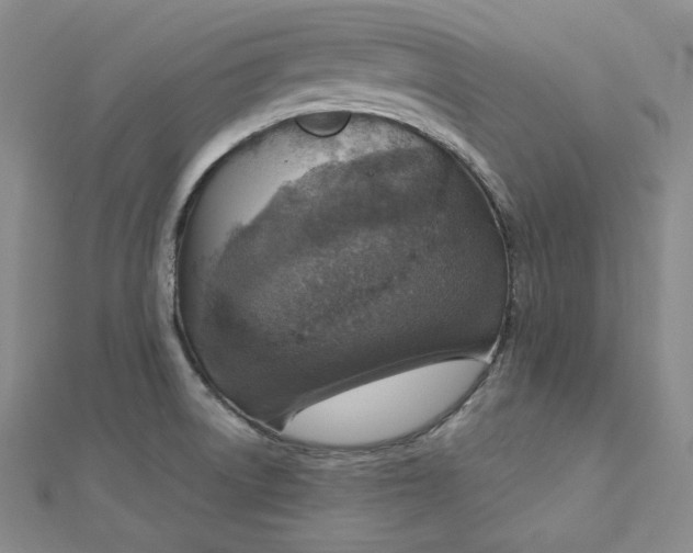 X0000112761522200909031537
