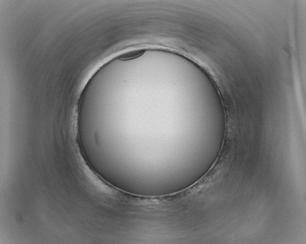 X0000112761524200909031537
