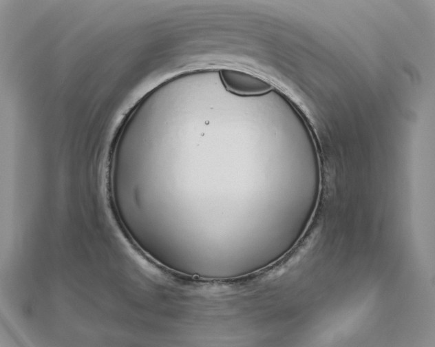 X0000112761525200909031537