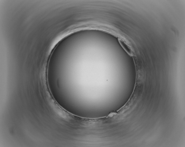 X0000112761530200909031537