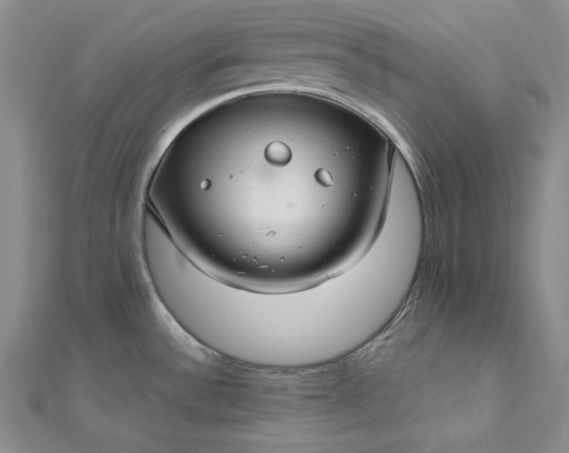 X0000112761532200909031537