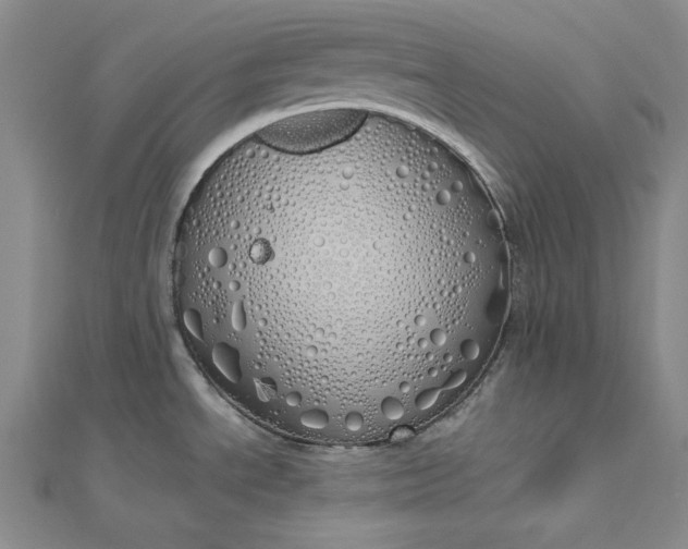 X0000112761534200909031537