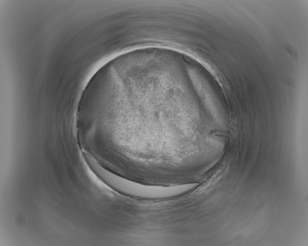 X0000112761535200909031537