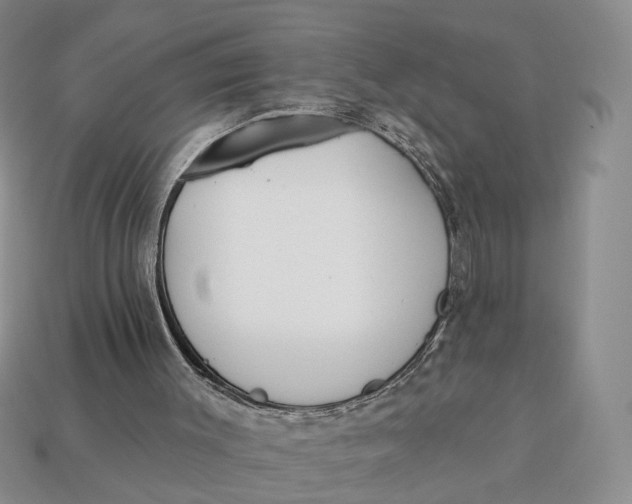 X0000112760003200909101540