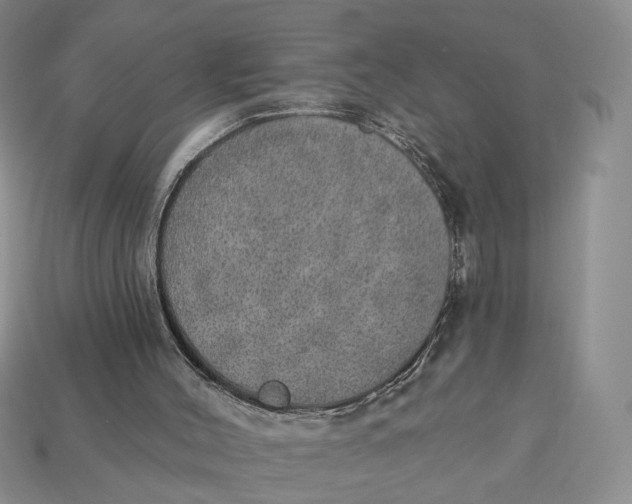 X0000112760004200909101540