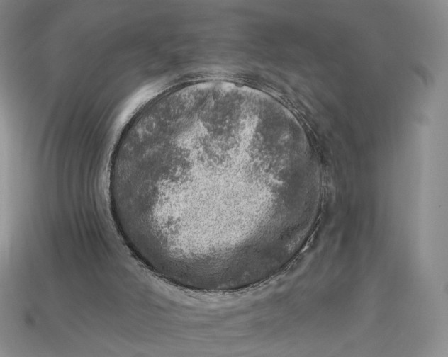 X0000112760006200909101539