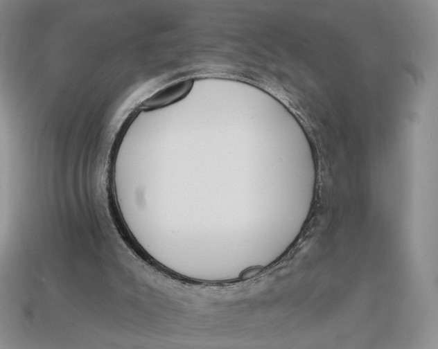 X0000112760007200909101539