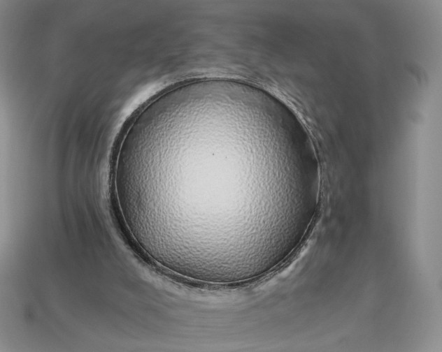 X0000112760008200909101539