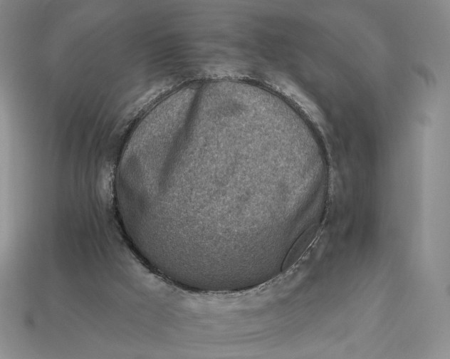 X0000112760009200909101539