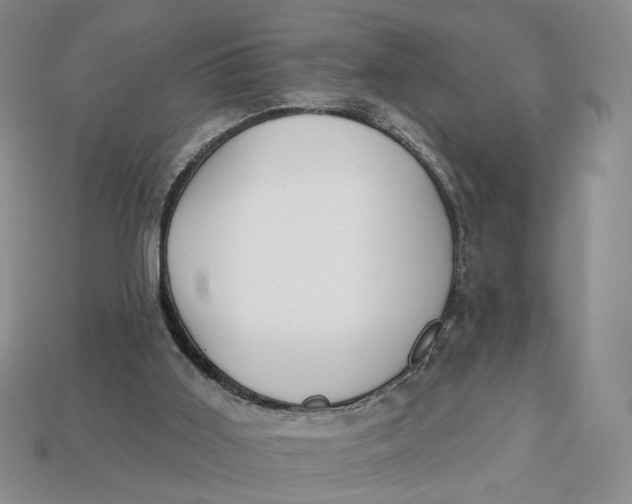 X0000112760011200909101539