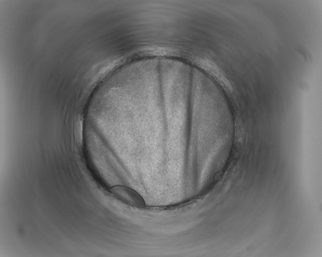 X0000112760014200909101539