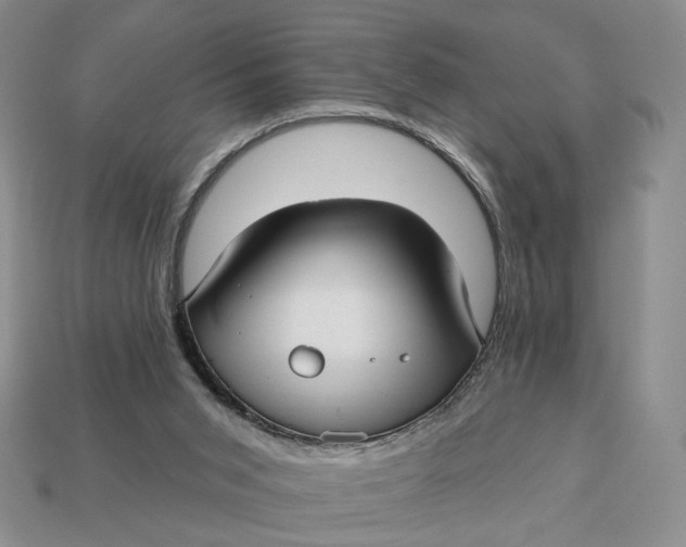 X0000112760015200909101539