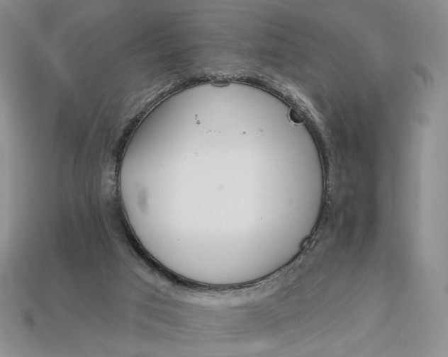 X0000112760017200909101539