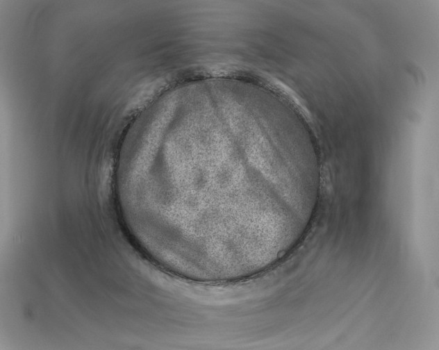 X0000112760018200909101539
