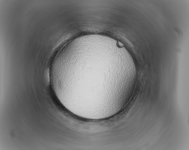 X0000112760020200909101539