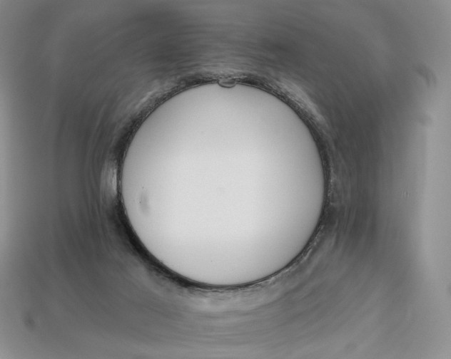 X0000112760021200909101539