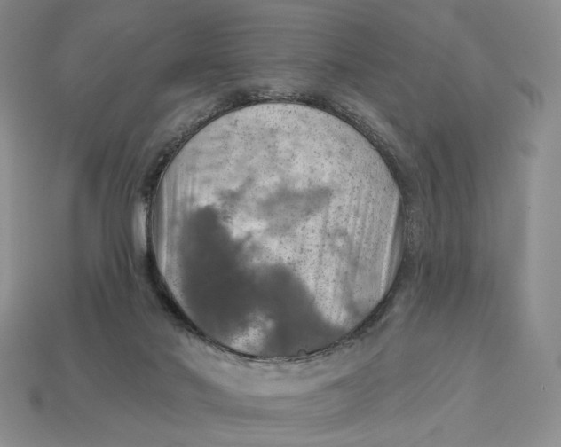 X0000112760022200909101539