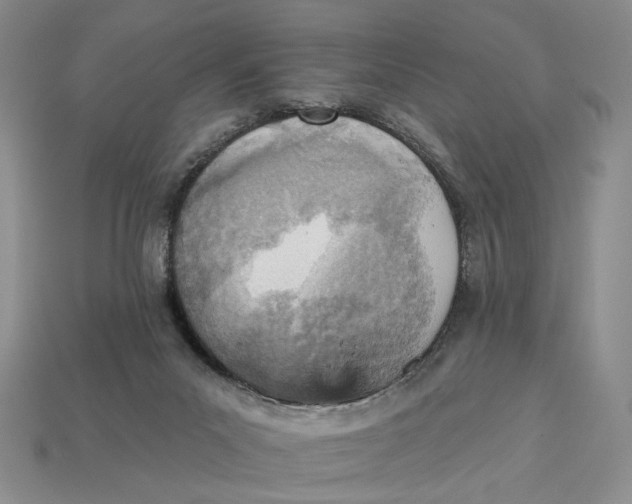 X0000112760023200909101539