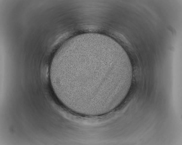 X0000112760024200909101539