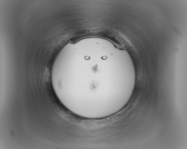 X0000112760025200909101539
