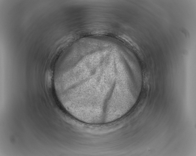 X0000112760026200909101539