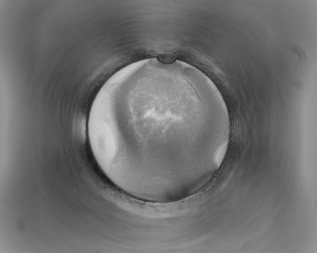 X0000112760027200909101539