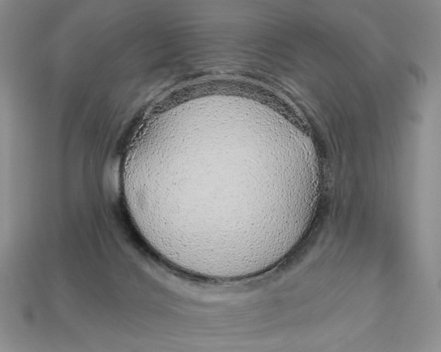 X0000112760028200909101539