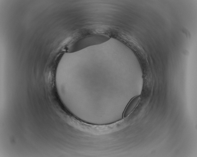 X0000112760031200909101539