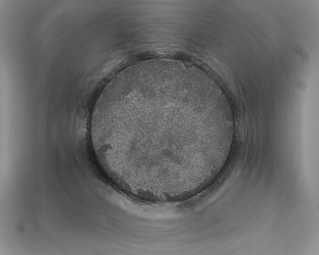 X0000112760032200909101539