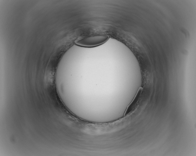 X0000112760033200909101539