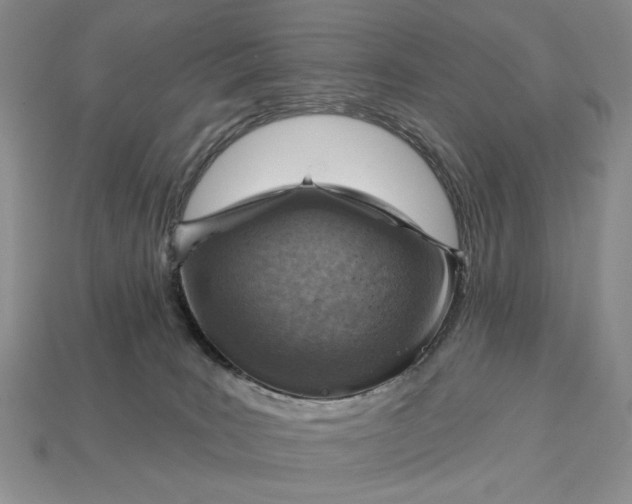 X0000112760035200909101539