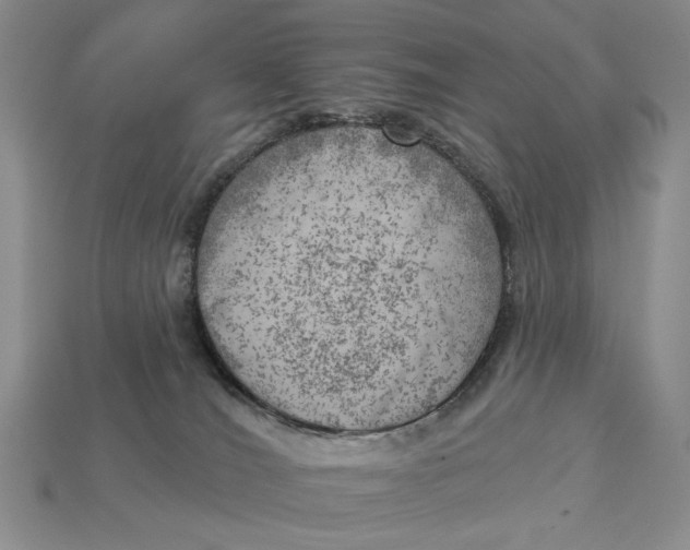 X0000112760036200909101539