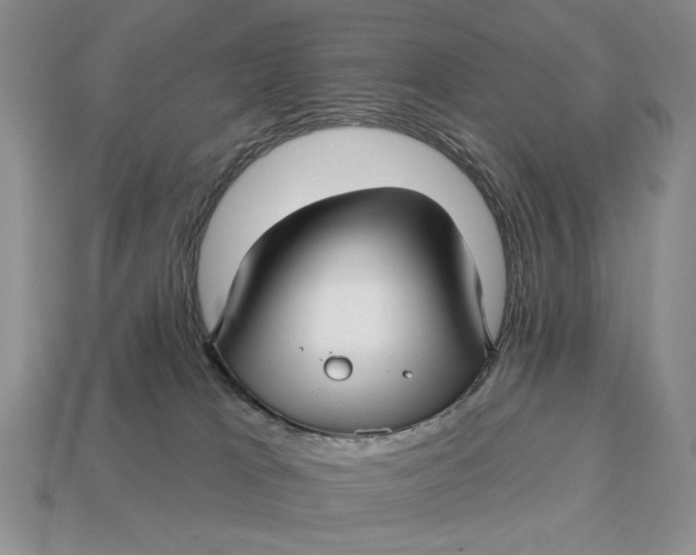 X0000112760037200909101539