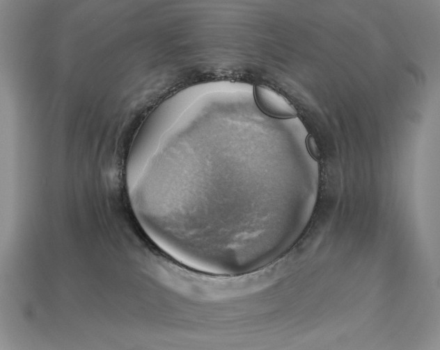 X0000112760039200909101539